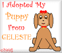 sitedogceleste2banner.gif